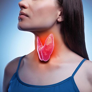 Эндокринология- 576ч.