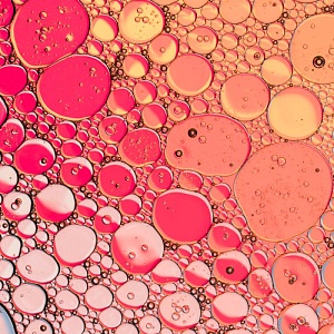 Гистология - 288 ч.