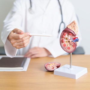 Онкоурология- 144 ч.