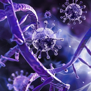 Аллергология и иммунология- 576ч.