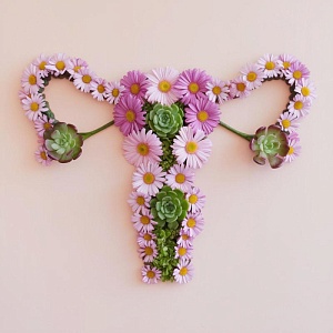 Гинекологическая эндокринология - 72 ч.