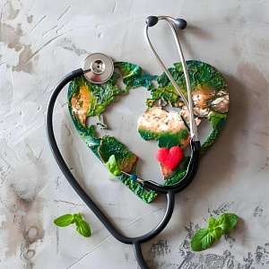 Профилактика основных хронических заболеваний и формирование здорового образа жизни- 144ч